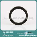 Economic permanent ring magnet for motor